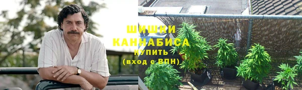 прущая мука Верея